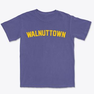 Walnuttown Pennsylvania Classic Curve Premium Heavyweight T-shirt