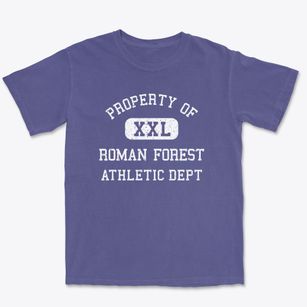 Roman Forest Texas Athletic Dept Premium Heavyweight T-shirt