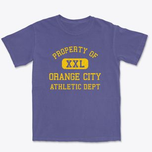 Orange City Iowa Athletic Dept Premium Heavyweight T-shirt