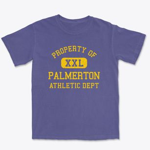 Palmerton Pennsylvania Athletic Dept Premium Heavyweight T-shirt