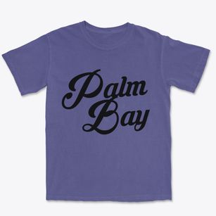 Palm Bay Florida Vintage Team Premium Heavyweight T-shirt