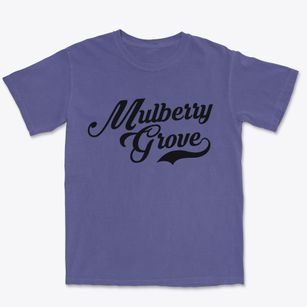 Mulberry Grove Illinois Vintage Team Premium Heavyweight T-shirt