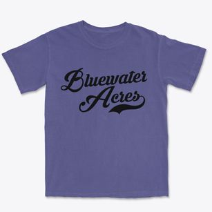 Bluewater Acres New Mexico Vintage Team Premium Heavyweight T-shirt