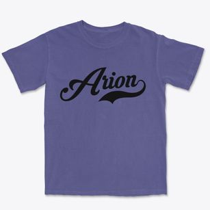 Arion Iowa Vintage Team Premium Heavyweight T-shirt