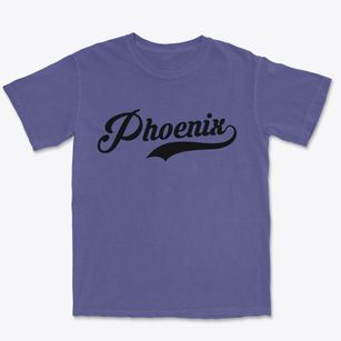 Phoenix Arizona Vintage Team Premium Heavyweight T-shirt