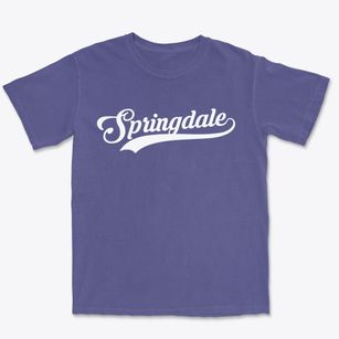 Springdale South Carolina Vintage Team Premium Heavyweight T-shirt