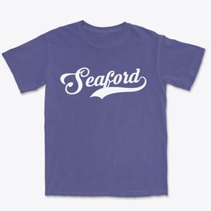Seaford New York Vintage Team Premium Heavyweight T-shirt