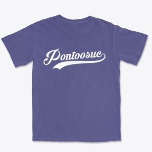 Pontoosuc Illinois Vintage Team Premium Heavyweight T-shirt