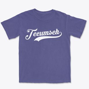 Tecumseh Michigan Vintage Team Premium Heavyweight T-shirt
