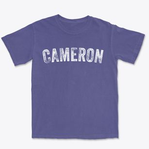 Cameron Wisconsin Timeless Retro Premium Heavyweight T-shirt