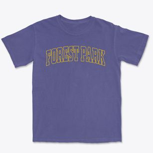 Forest Park Ohio Trendy Block Premium Heavyweight T-shirt