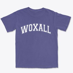 Woxall Pennsylvania Varsity Premium Heavyweight T-shirt