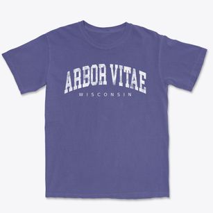Arbor Vitae Wisconsin Urban Vibe Premium Heavyweight T-shirt
