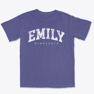 Emily Minnesota Urban Vibe Premium Heavyweight T-shirt