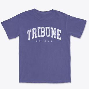 Tribune Kansas Urban Vibe Premium Heavyweight T-shirt