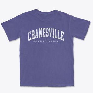 Cranesville Pennsylvania Urban Vibe Premium Heavyweight T-shirt