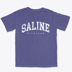 Saline Michigan Urban Vibe Premium Heavyweight T-shirt