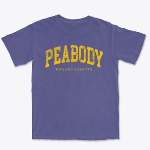 Peabody Massachusetts Urban Vibe Premium Heavyweight T-shirt