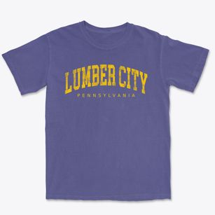 Lumber City Pennsylvania Urban Vibe Premium Heavyweight T-shirt