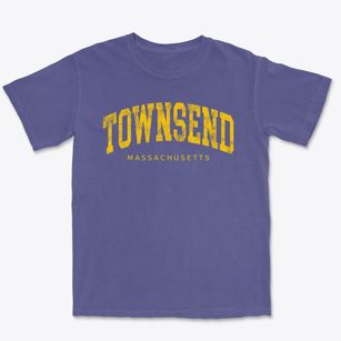 Townsend Massachusetts Urban Vibe Premium Heavyweight T-shirt
