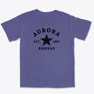 Aurora Kansas Star Premium Heavyweight T-shirt