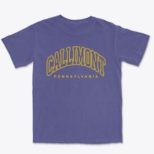Callimont Pennsylvania Inline Premium Heavyweight T-shirt