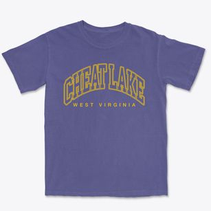 Cheat Lake West Virginia Inline Premium Heavyweight T-shirt