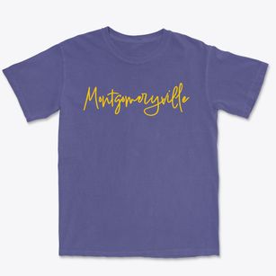 Montgomeryville Pennsylvania Freestyle Premium Heavyweight T-shirt