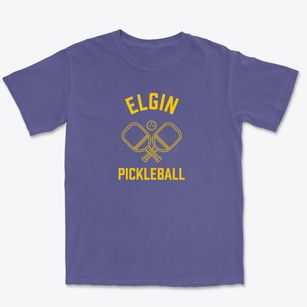 Elgin Pennsylvania Pickleball Premium Heavyweight T-shirt