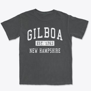 Gilboa New Hampshire Classic Established Premium Heavyweight T-shirt