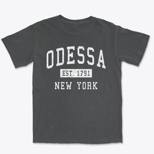 Odessa New York Classic Established Premium Heavyweight T-shirt