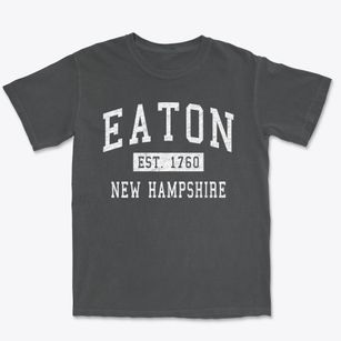 Eaton New Hampshire Classic Established Premium Heavyweight T-shirt