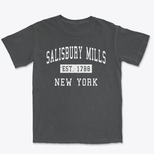 Salisbury Mills New York Classic Established Premium Heavyweight T-shirt