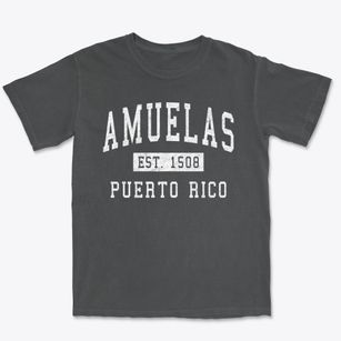 Amuelas Puerto Rico Classic Established Premium Heavyweight T-shirt