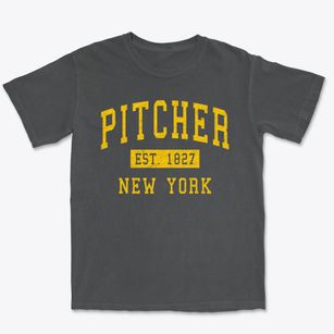 Pitcher New York Classic Established Premium Heavyweight T-shirt