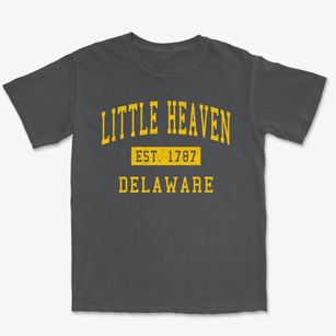 Little Heaven Delaware Classic Established Premium Heavyweight T-shirt