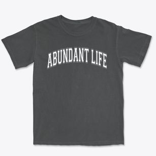 Abundant Life Christian Academy Varsity Arch Premium Heavyweight T-shirt