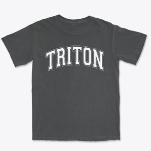 Triton Elementary School Varsity Arch Premium Heavyweight T-shirt