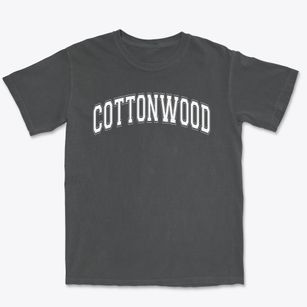 Cottonwood Excel Campus Varsity Arch Premium Heavyweight T-shirt
