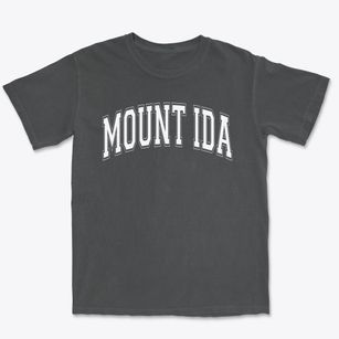 Mount Ida Elementary School Varsity Arch Premium Heavyweight T-shirt