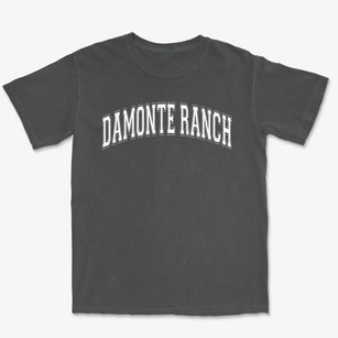 Damonte Ranch High School Varsity Arch Premium Heavyweight T-shirt