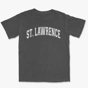 Saint Lawrence Elementary Middle Schools Varsity Arch Premium Heavyweight T-shirt