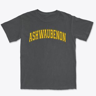 Ashwaubenon High School Varsity Arch Premium Heavyweight T-shirt