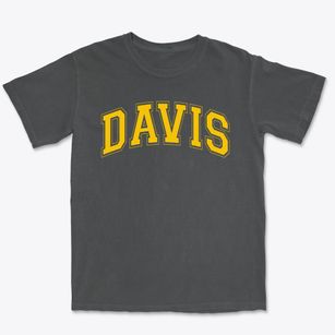 Davis Elementary School Varsity Arch Premium Heavyweight T-shirt