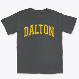 Dalton Elementary School Varsity Arch Premium Heavyweight T-shirt