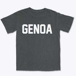 Genoa New York Classic Block Premium Heavyweight T-shirt
