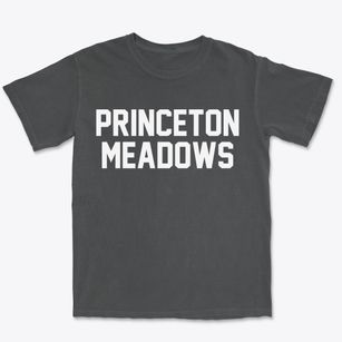 Princeton Meadows New Jersey Classic Block Premium Heavyweight T-shirt
