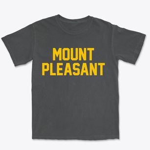 Mount Pleasant New York Classic Block Premium Heavyweight T-shirt