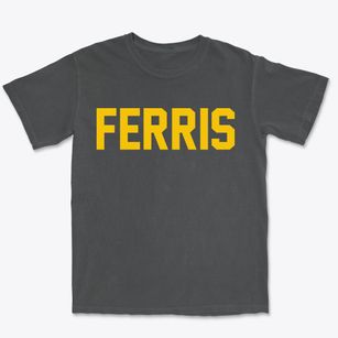 Ferris Texas Classic Block Premium Heavyweight T-shirt