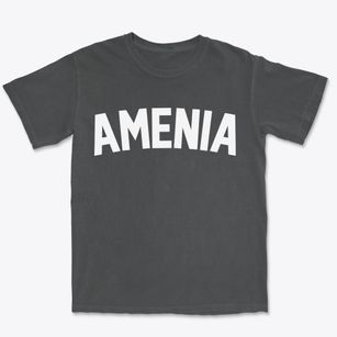 Amenia New York Classic Curve Premium Heavyweight T-shirt